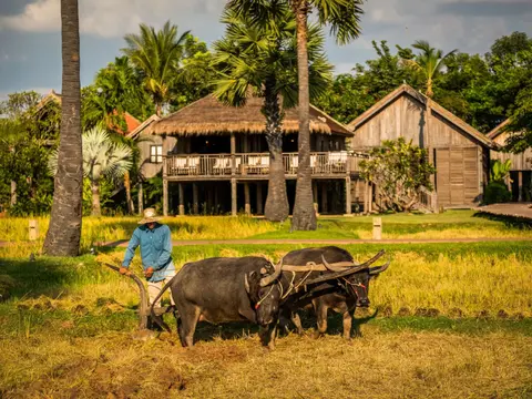 small_22.11.23.Zannier-Hotels-Phum-Baitang-Rice-Cultivation-2-©-Patricia-Parinejad-for-Zannier-Hotels