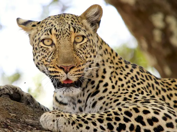 Esther-klein_02.08.23