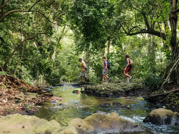 Copy-Hawaii-Tourism-Authority-HTA_Heather-Goodman