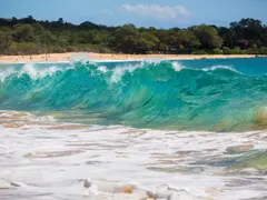 Copy-Hawaii-Tourism-Authority-HTA_Tor-Johnson_5