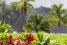 Copy-Hawaii-Tourism-Authority-HTA_Tor-Johnson_4