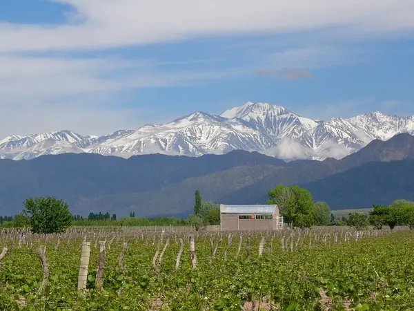 Kopie-SAT_Jul22_arg_mendoza_wine_02_c_sat_mb-1