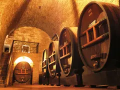 Kopie-SAT-Okt22_arg_mendoza_wine_01_c_sat_ad