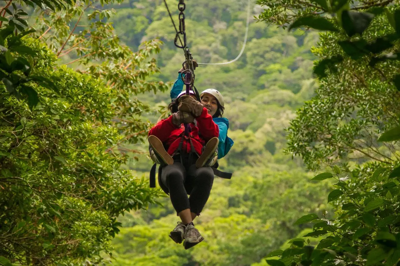 KopieSelvatura-Canopy