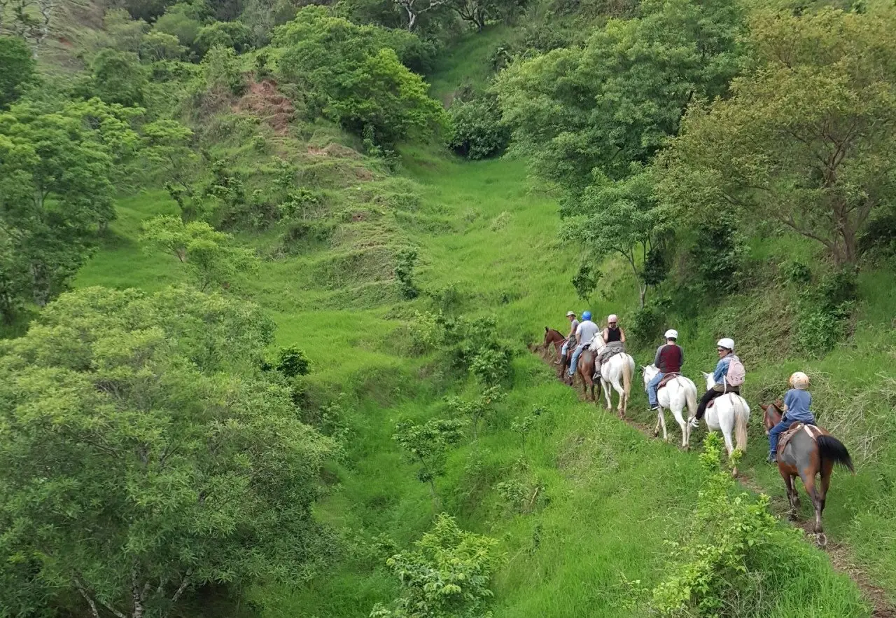 Kopie-Monteverde-Horseback-Riding-16