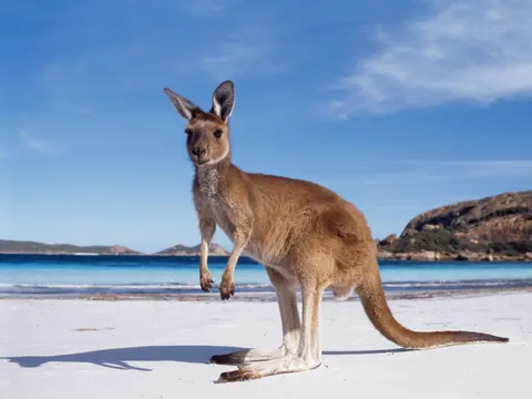 small_Tourism-Australia_21.7.23