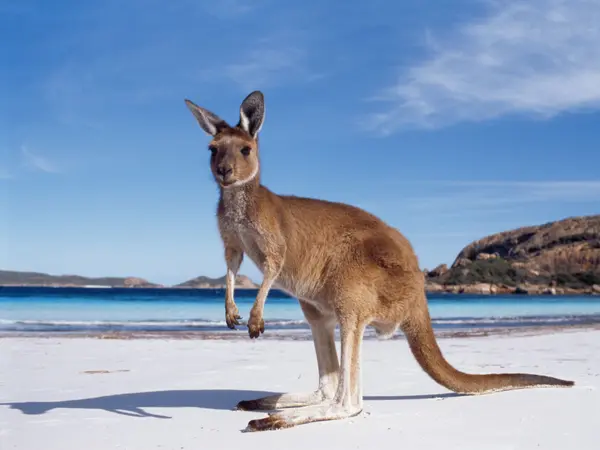 small_Tourism-Australia_21.7.23