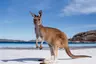 small_Tourism-Australia_21.7.23