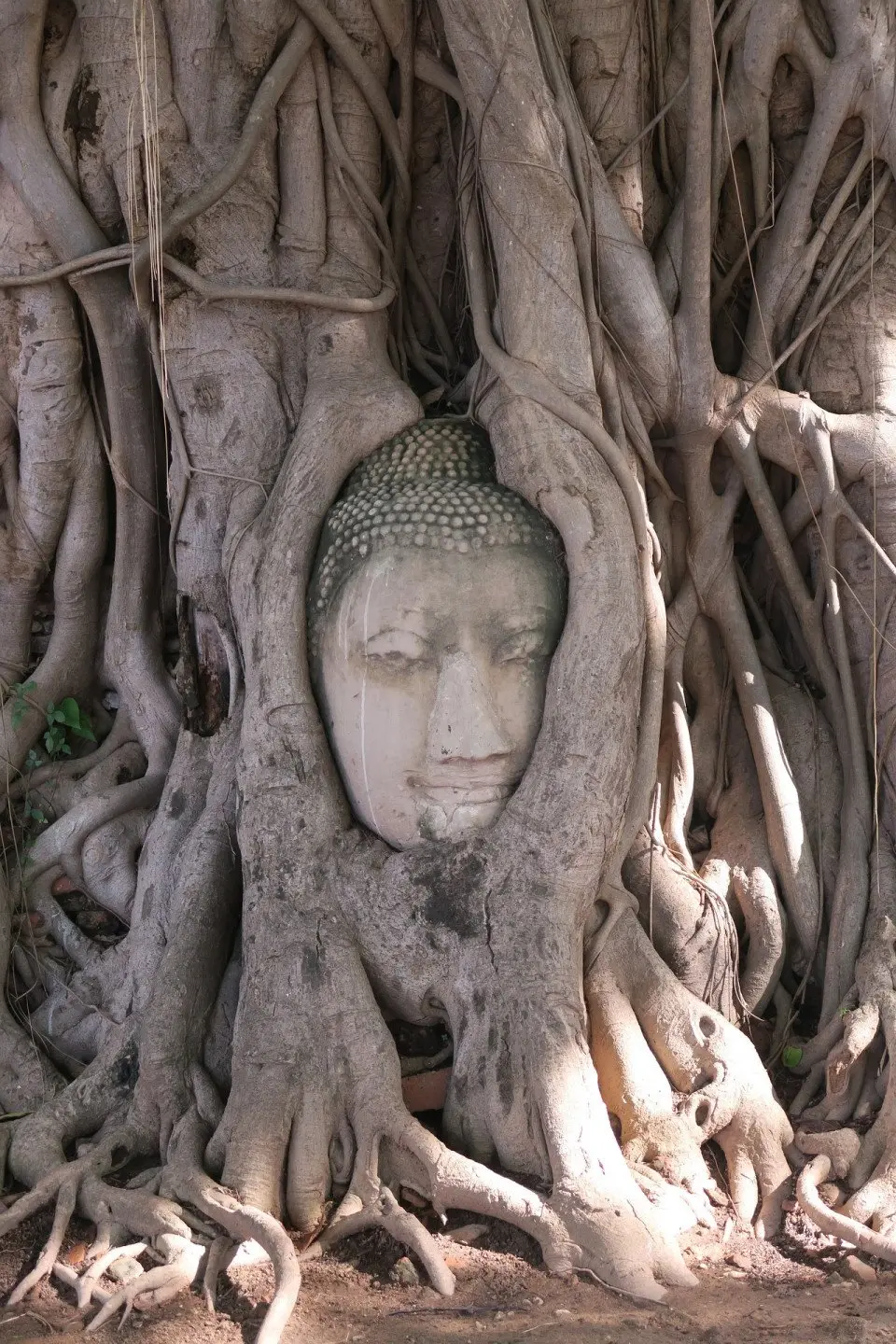 ayutthaya-g273845d0b_1920