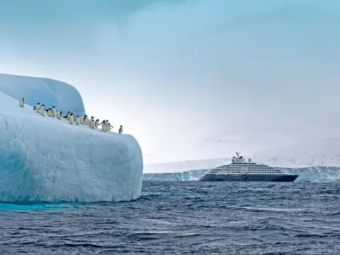 Kopie-Scenic-Eclipse-Antarctica-Adelie-penguins-Brown-Bluff-5-Roger-Pimenta