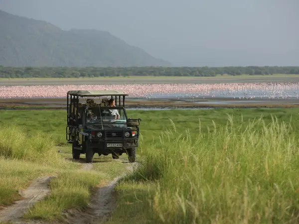 Lake-Manyara_andBeyond4