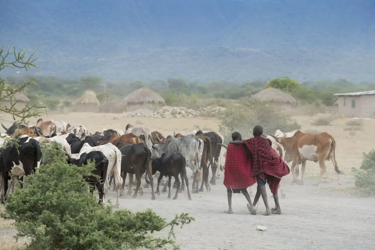 Lake-Manyara_andBeyond5-1