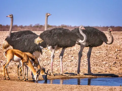 small3-unsplash.7.8.23-e1691422529470