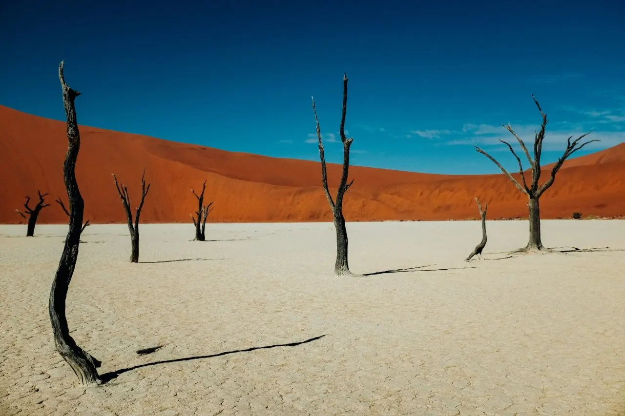 Unsplash_Namibia_Jun22