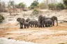 Chobe_small-1