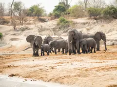 Chobe_small
