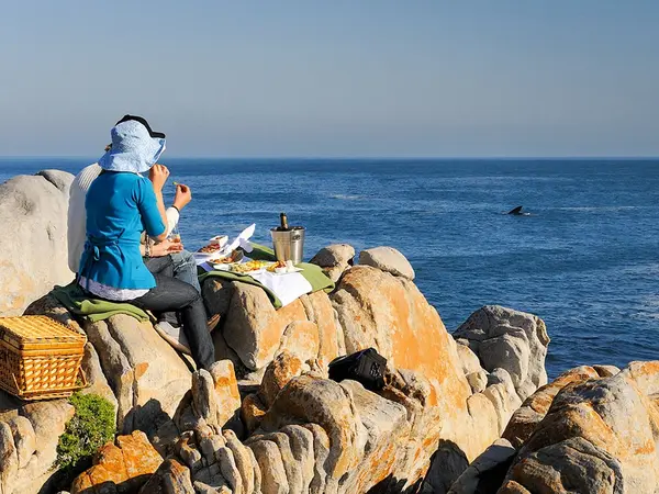 ©Grootbos-PNR_small10