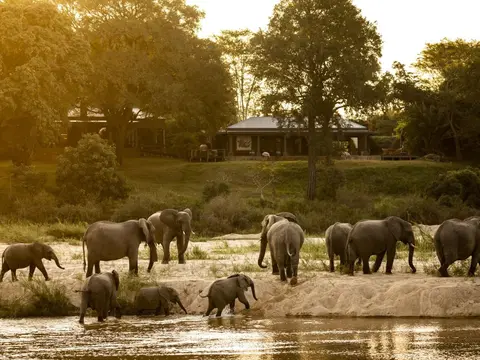©Mala-Mala-Game-Reserve_small