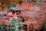 small_Pagoda-and-bridge_Exo_21.7.23-1