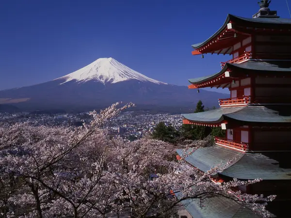 small_Mt.-Fuji-Chureito-Peace-Pagoda-Sengen-Park_Exo_21.7.23