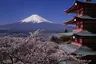 small_Mt.-Fuji-Chureito-Peace-Pagoda-Sengen-Park_Exo_21.7.23