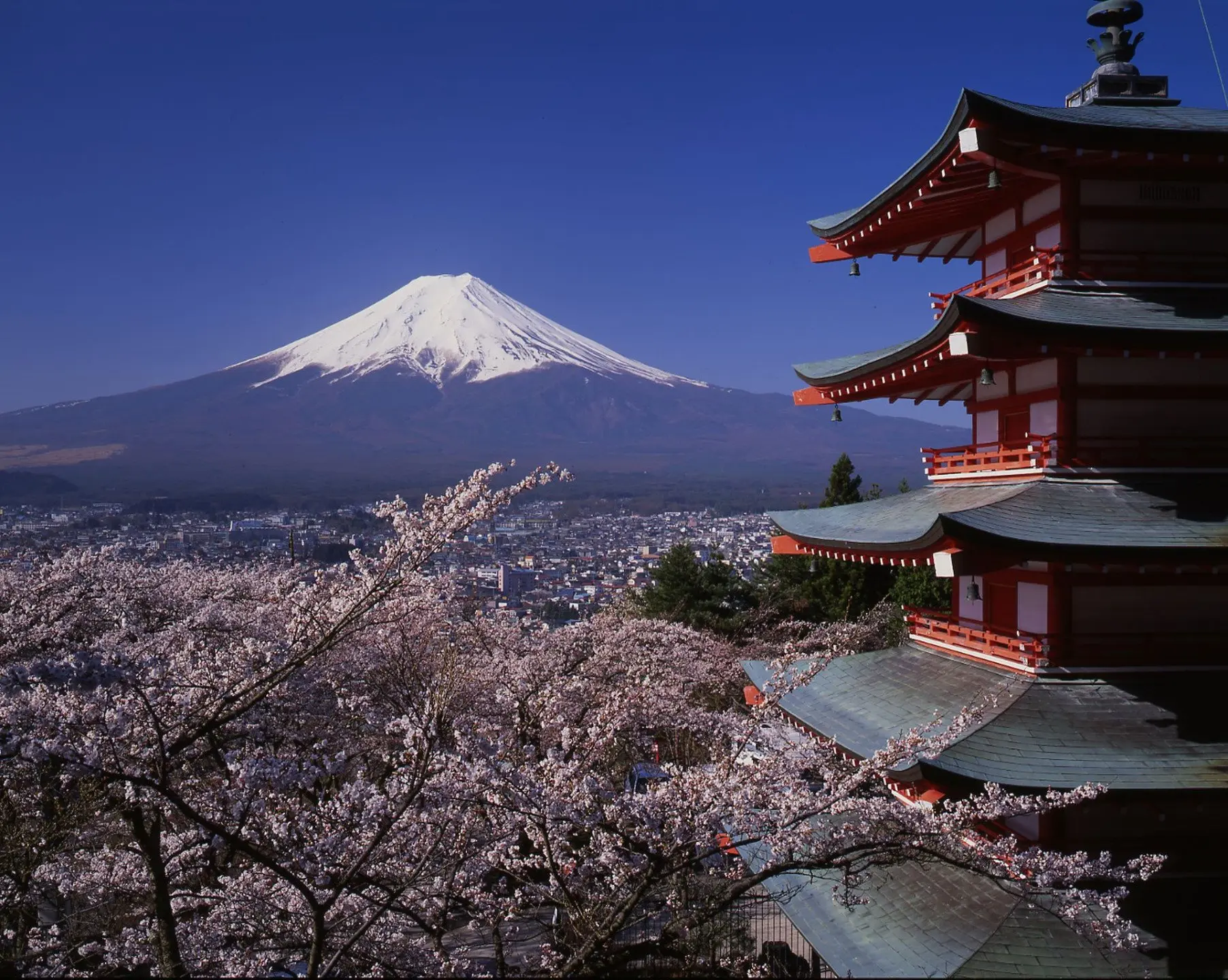 small_Mt.-Fuji-Chureito-Peace-Pagoda-Sengen-Park_Exo_21.7.23