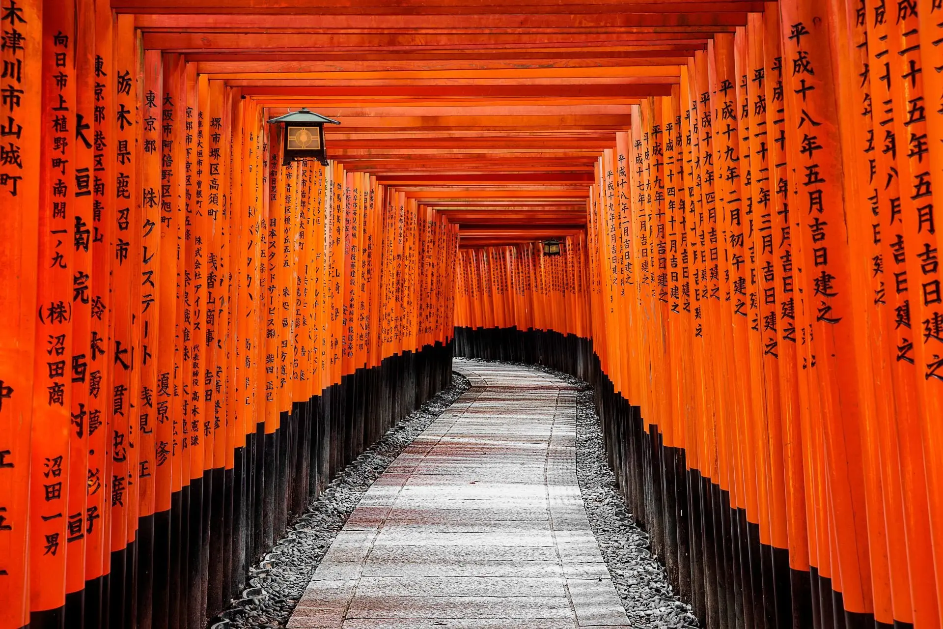 small_Fushimi-Inari-torii_Exo_21.7.23