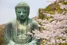 small_Great-Buddha-cherry-blossom_Exo_21.7.23