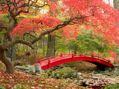 small_Japanese-red-bridge_Exo_21.7.23