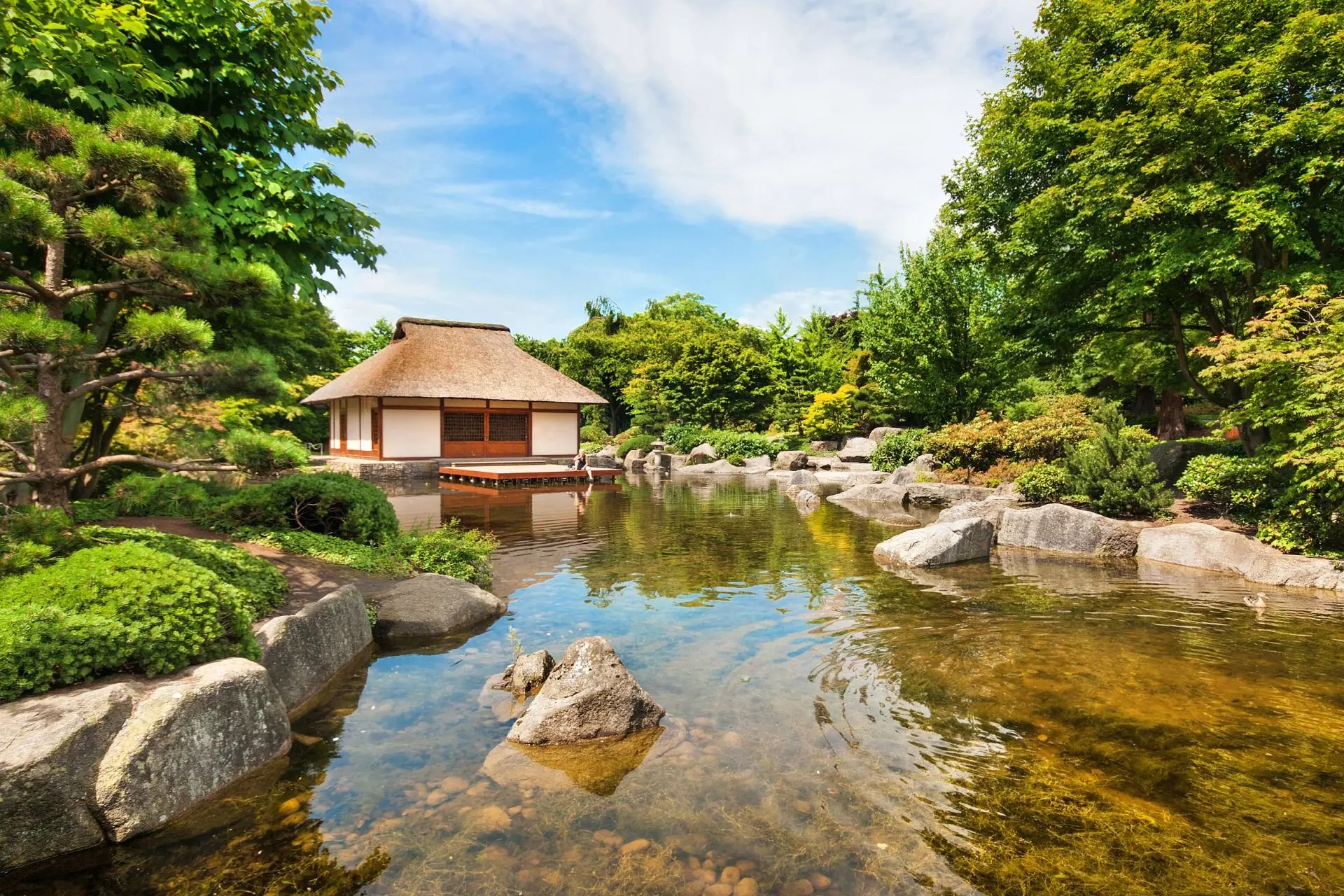 small_River-and-Japanese-house_Exo_21.7.23