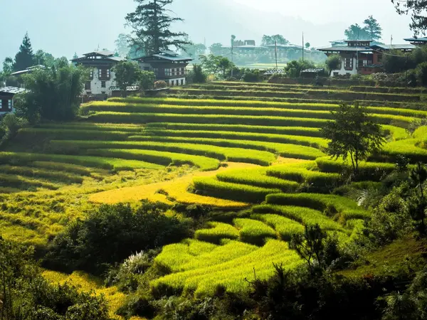 small_Sixc-Senses_Punakha_Valley4_08.11.23
