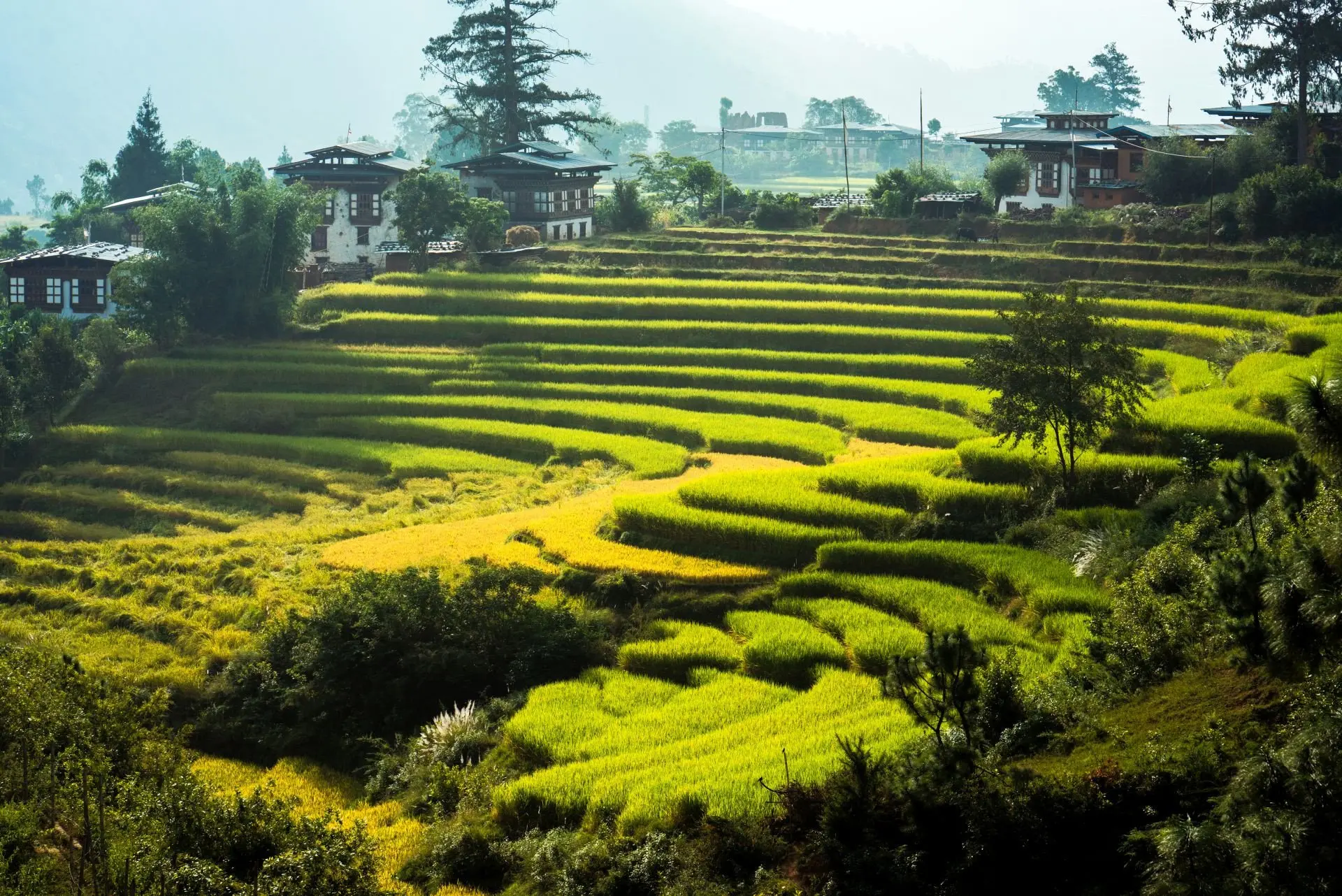 small_Sixc-Senses_Punakha_Valley4_08.11.23