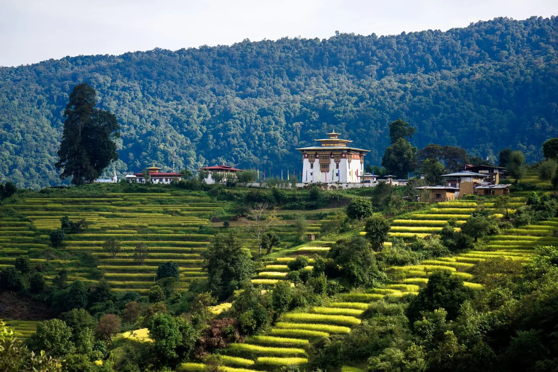 small_Six-Senses_Chorten_Ningp_08.11.23