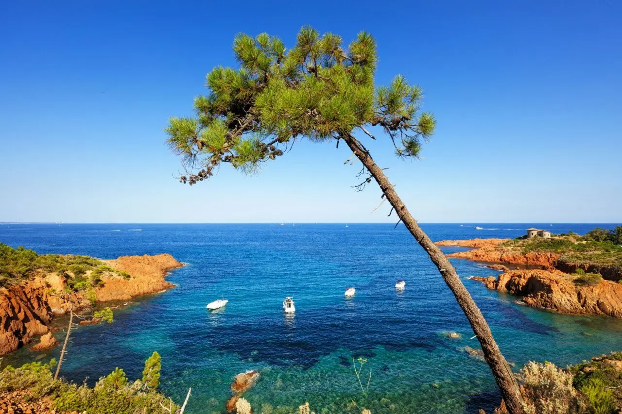 cote-esterel-depuis-terre-blanche