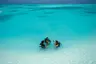 OZEN LIFE MAADHOO - Diving