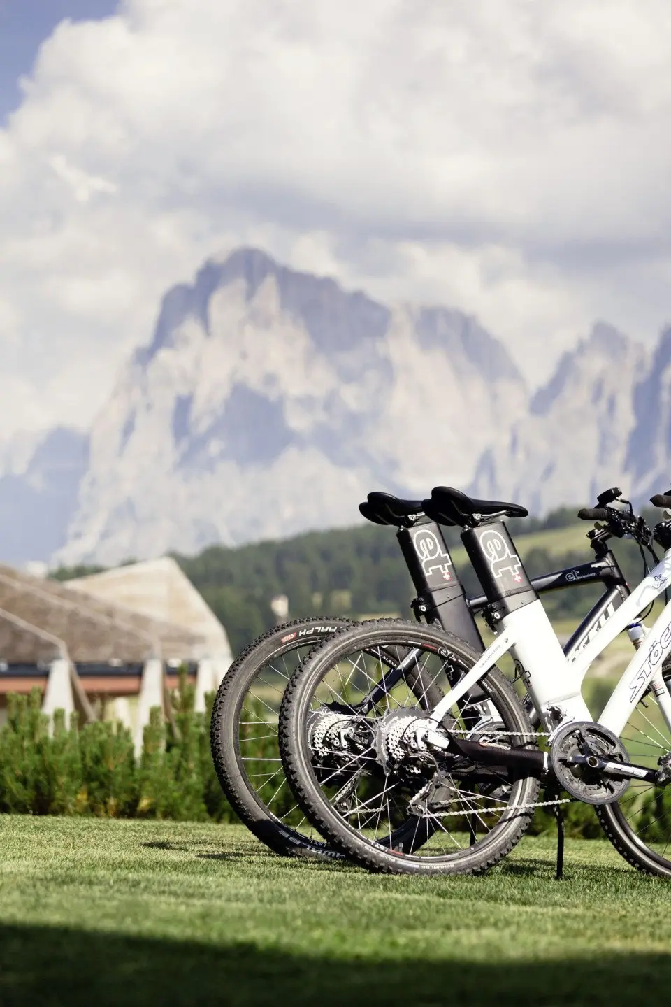 Mountain biking detail