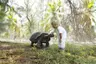 Boy with turtle