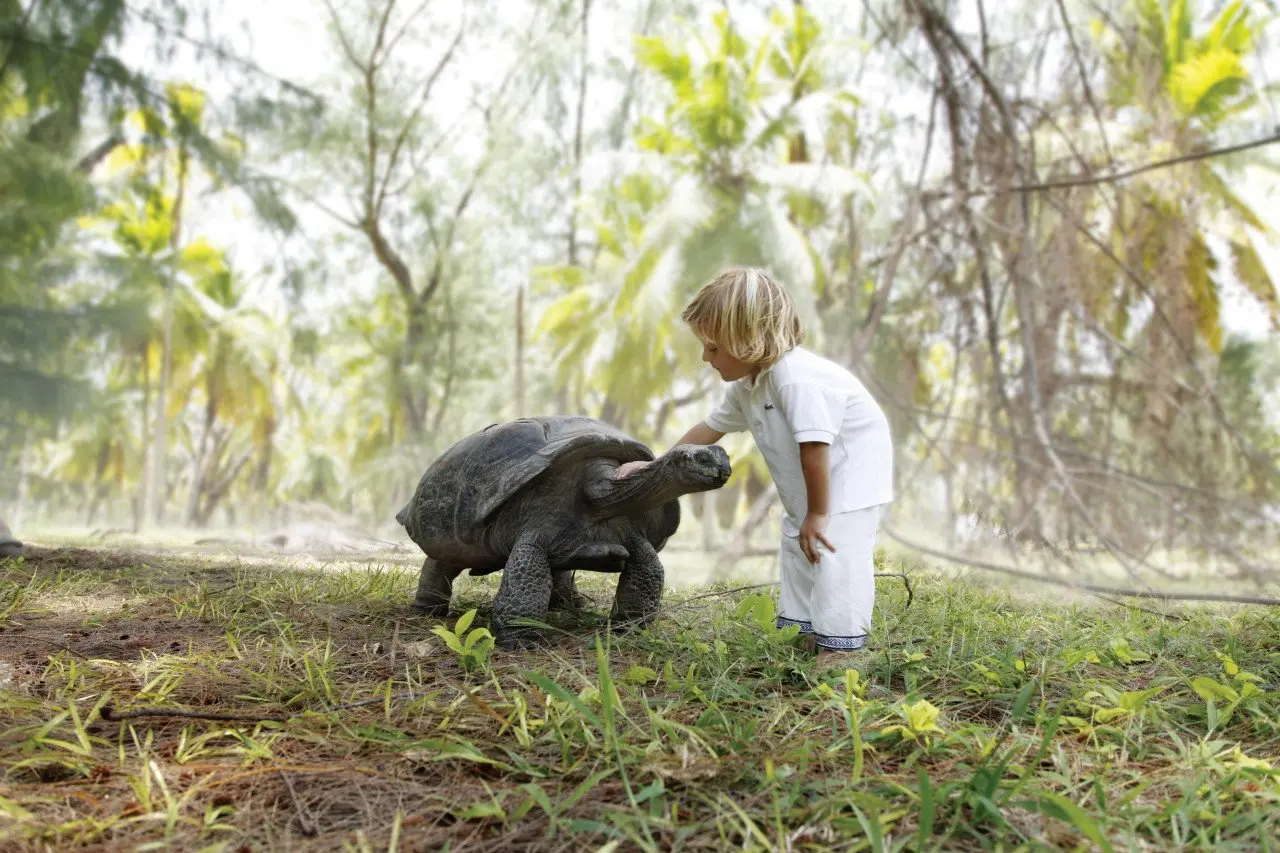 Boy with turtle