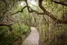 web-grootbos-accommodation-forest-lodge-pathway-01