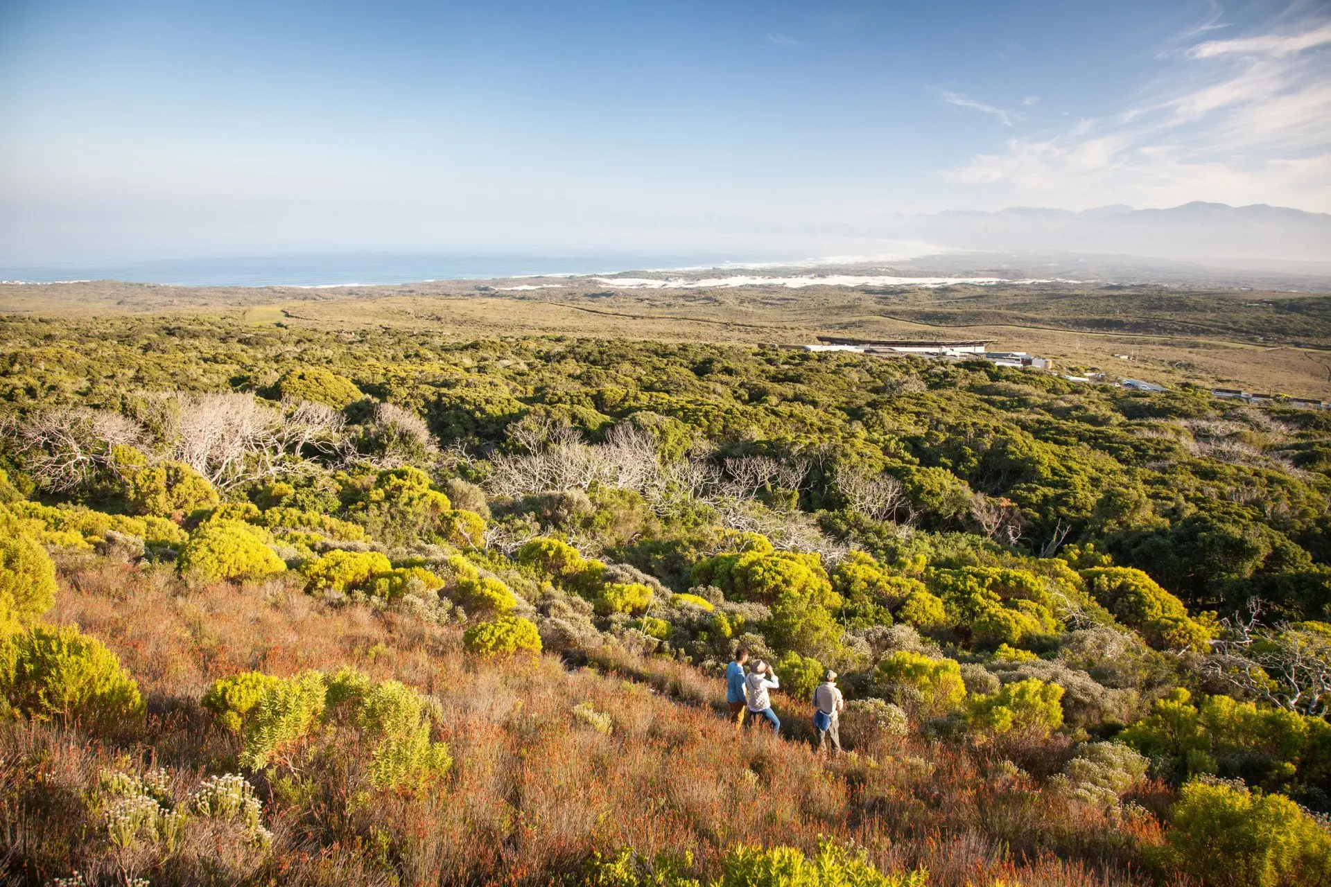 web-grootbos-experience-hikes-walks-06