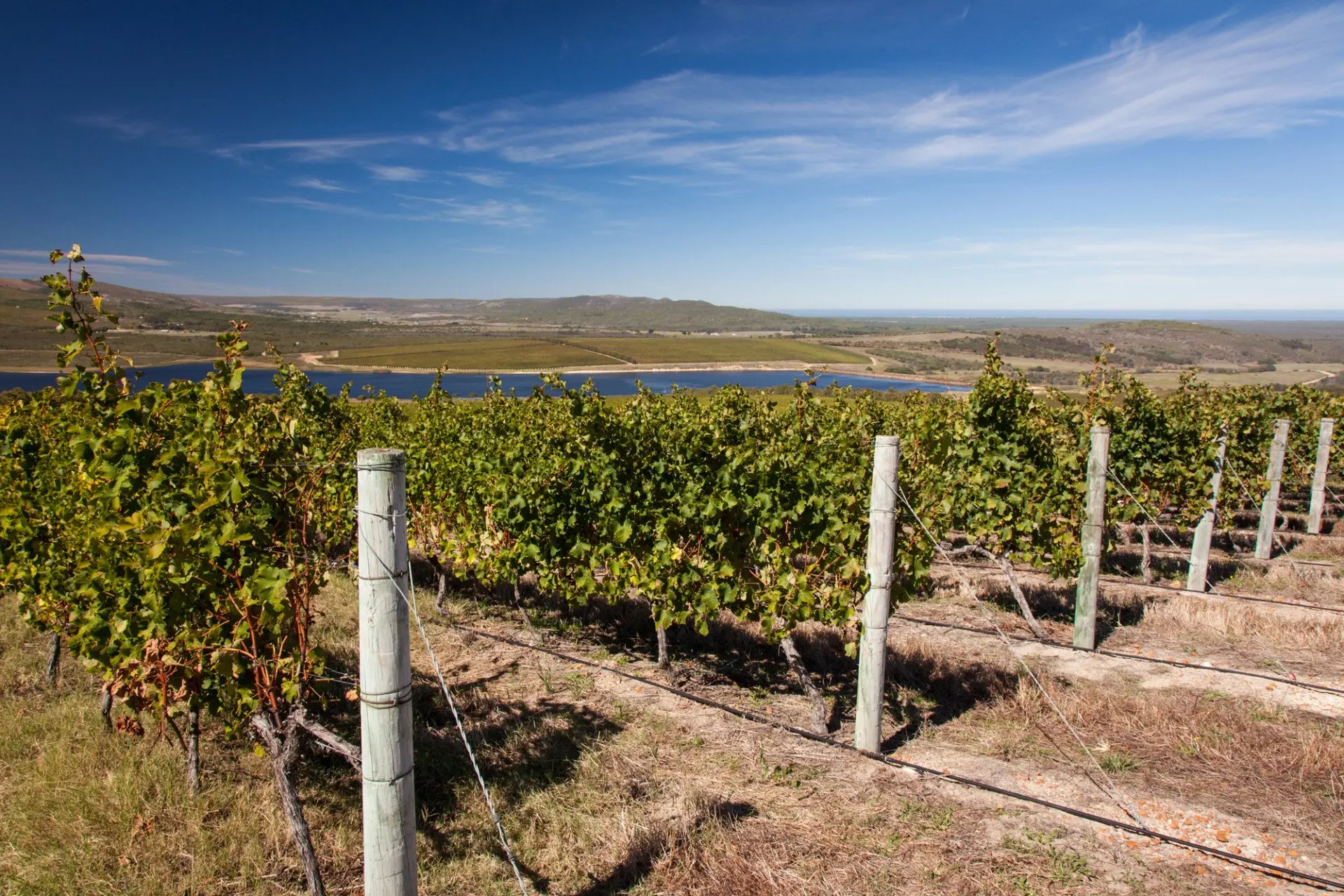 web-grootbos-experience-wine-tour-08