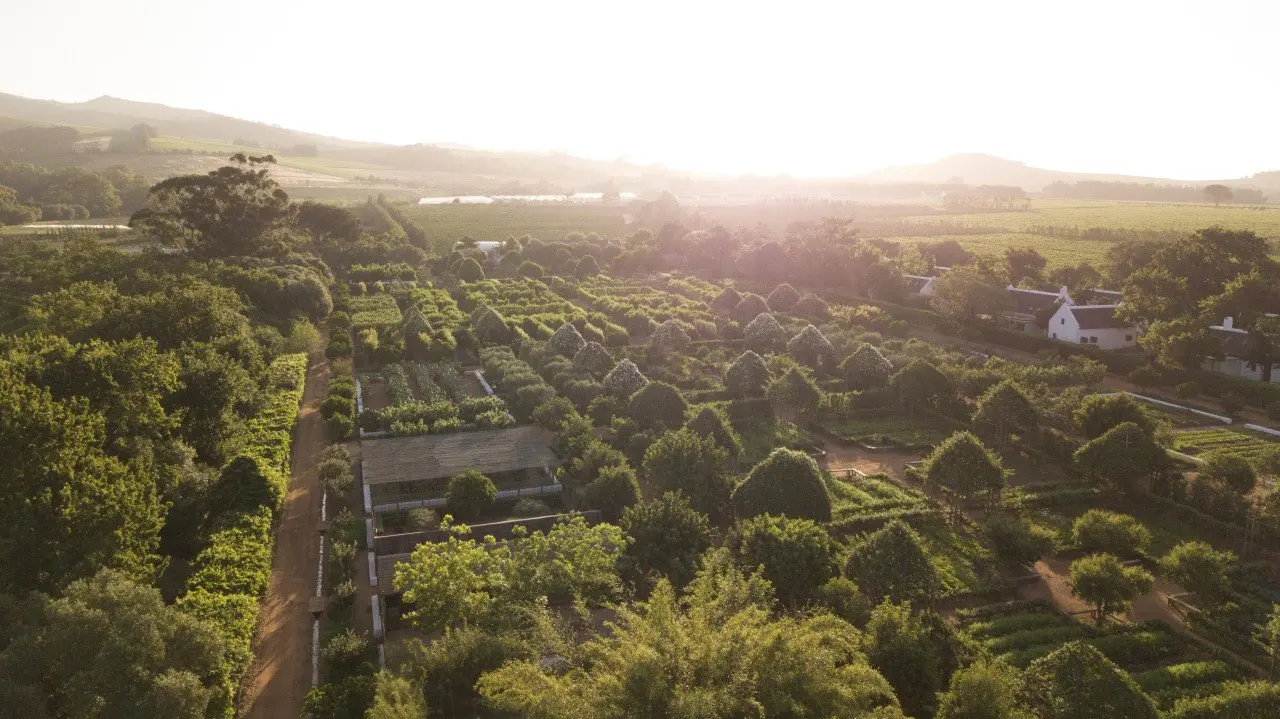 Babylonstoren-Heiraten