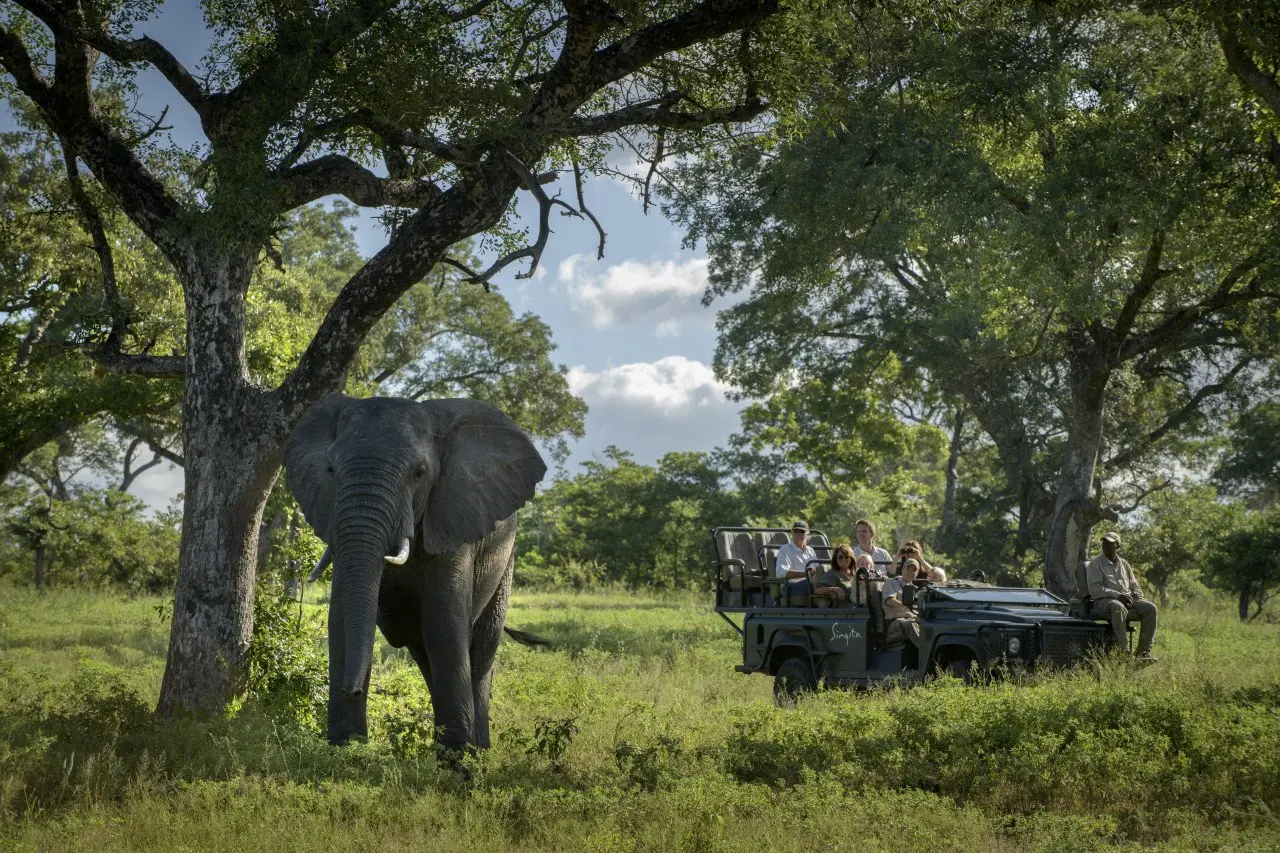 Singita Sabi Sand_Elephant on Gamedrive