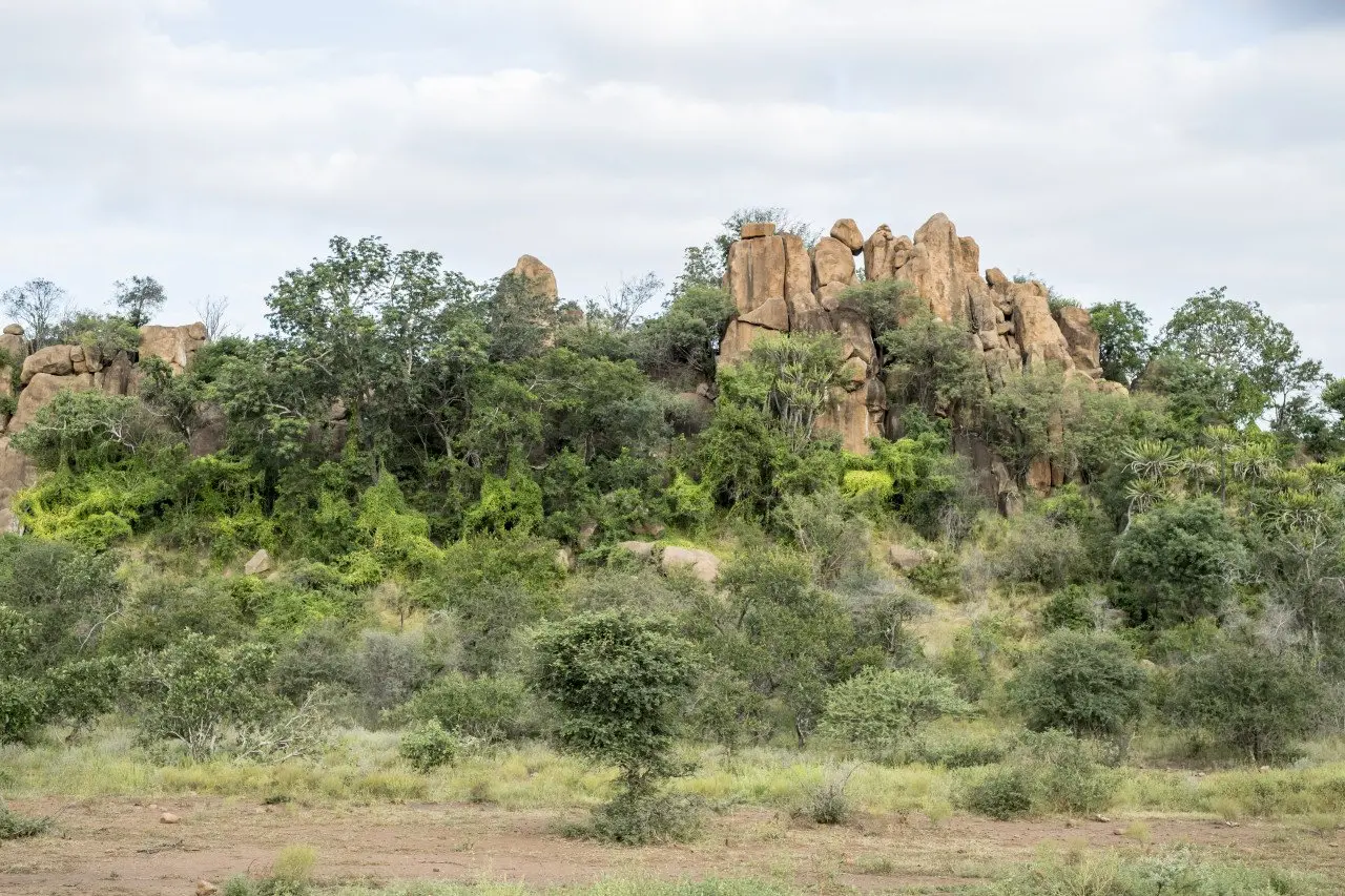 Singita Kruger National Park_Landscape