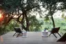 londolozi_healing_house_12