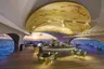 strMLEXRcl-206212-Whale Bar - Mural and Bar-