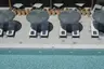 Communal Pools - Umbrellas & Sunbeds 3