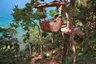 2441_Soneva Kiri - Treepod Dining_edit