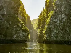 iStock-620717222