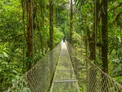 iStock-517511066